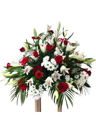 Centro funerario vitoria