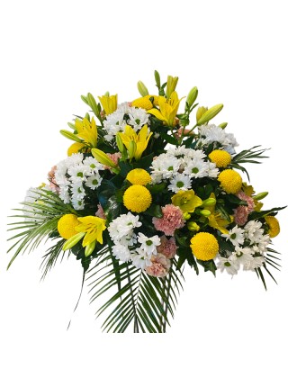 Centro funerario envio vitoria