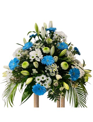 Centro Deportivo Alaves