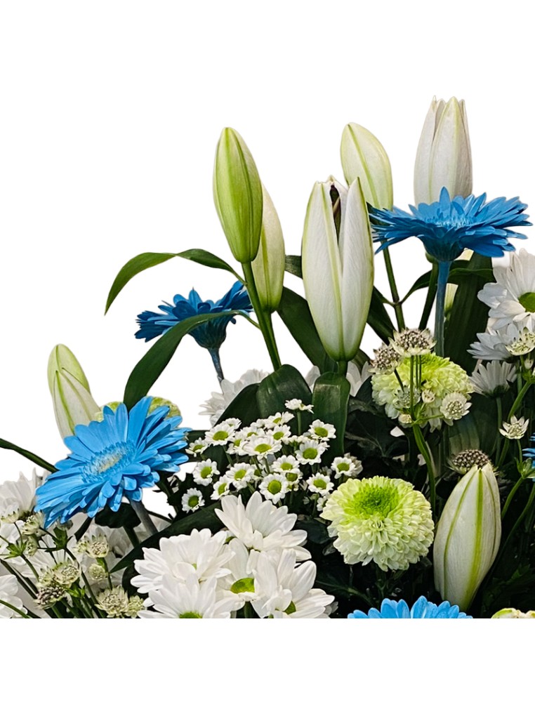 Ramo difunto envio Vitoria