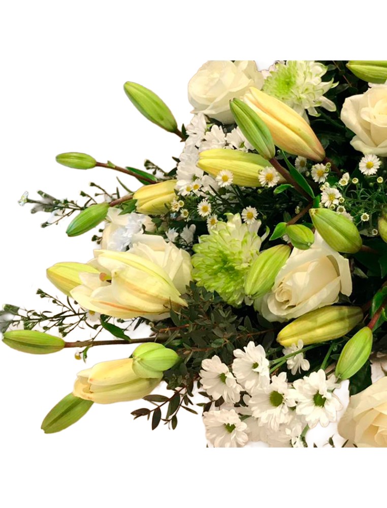 Ramo Fúnebre Vitoria