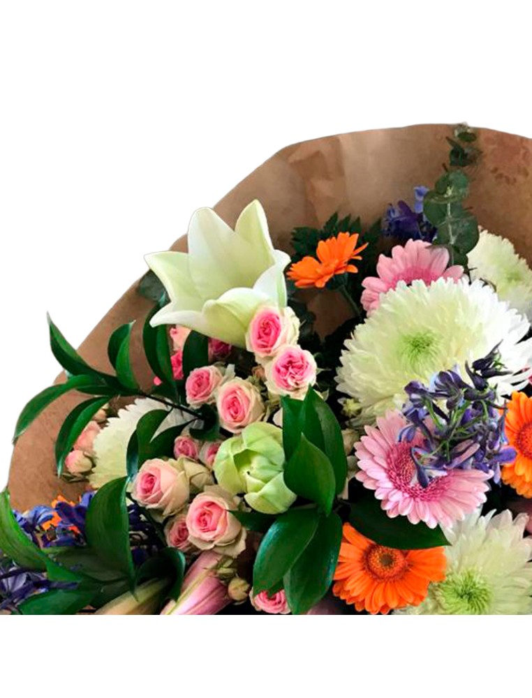 Ramo Fúnebre Gasteiz