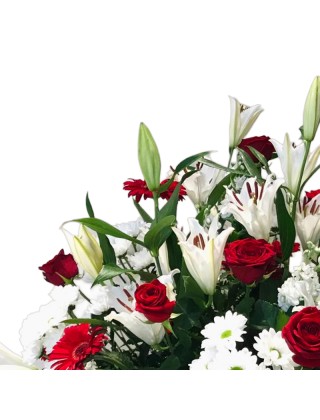 Ramo Tanatorio Albia Vitoria