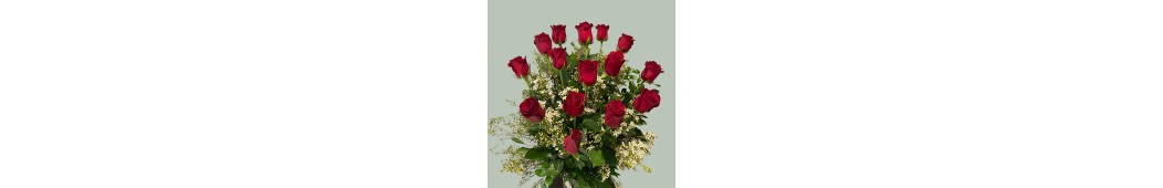 Ramos tanatorio - entrega en Vitoria-Gasteiz | Floristería Munain