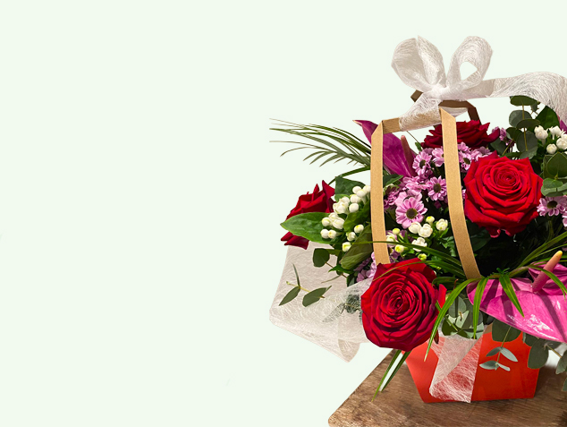 Cms-Banner3.jpg