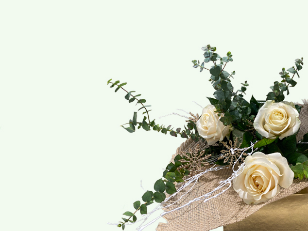 Cms-Banner1.jpg